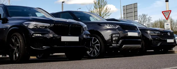 Kasino Wild Jack Apl Android/iOS